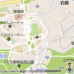 埼玉県東松山市岩殿494周辺の地図