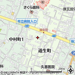 埼玉県秩父市道生町16周辺の地図