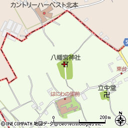 埼玉県桶川市川田谷7026周辺の地図