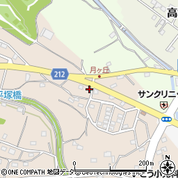 埼玉県東松山市岩殿53周辺の地図