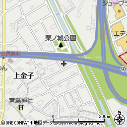 長野県諏訪市中洲2509周辺の地図