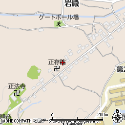 埼玉県東松山市岩殿1249周辺の地図