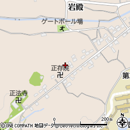 埼玉県東松山市岩殿1248周辺の地図