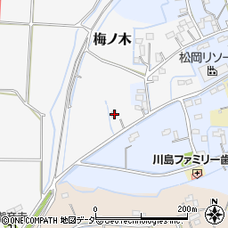埼玉県比企郡川島町梅ノ木3周辺の地図