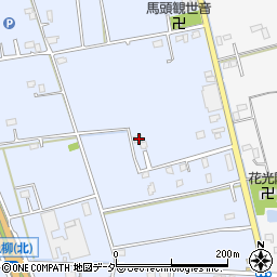 埼玉県春日部市立野99周辺の地図