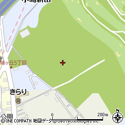 茨城県つくばみらい市小島新田周辺の地図