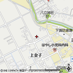 長野県諏訪市中洲441周辺の地図