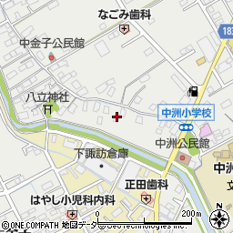 長野県諏訪市中洲3136周辺の地図