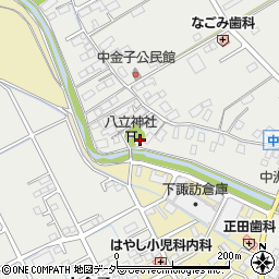 長野県諏訪市中洲3175周辺の地図