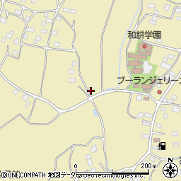 茨城県常総市坂手町8763周辺の地図