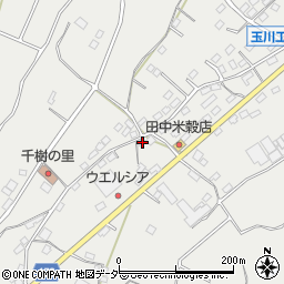 埼玉県比企郡ときがわ町玉川1185周辺の地図