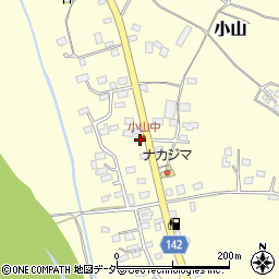 茨城県坂東市小山1196-3周辺の地図