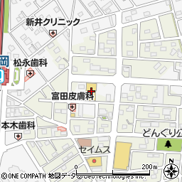 コメリハード＆グリーン白岡店周辺の地図