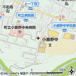 埼玉県秩父郡小鹿野町小鹿野250周辺の地図