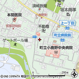 埼玉県秩父郡小鹿野町小鹿野292周辺の地図