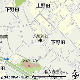 埼玉県白岡市上野田552周辺の地図