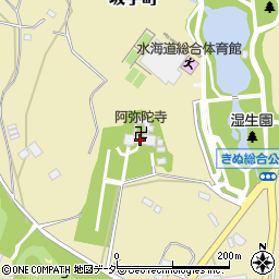 茨城県常総市坂手町3554周辺の地図