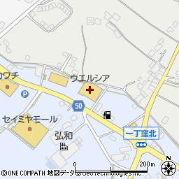 ウエルシア行方麻生店周辺の地図