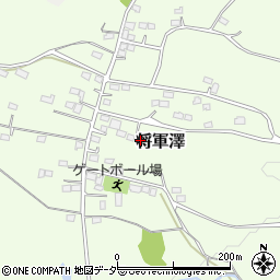 埼玉県比企郡嵐山町将軍澤300周辺の地図