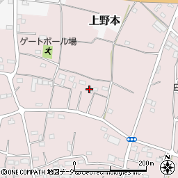 〒355-0036 埼玉県東松山市下野本の地図