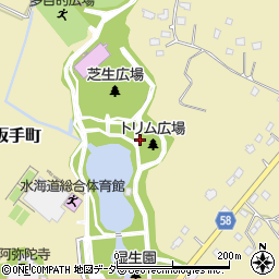 茨城県常総市坂手町3108周辺の地図