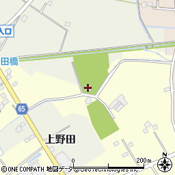 埼玉県白岡市上野田1374周辺の地図