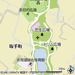 茨城県常総市坂手町3162周辺の地図