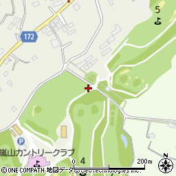 埼玉県比企郡嵐山町鎌形1099周辺の地図