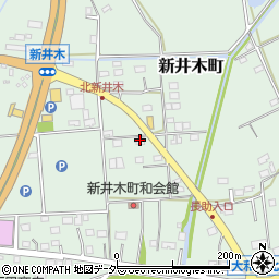 茨城県常総市新井木町231周辺の地図