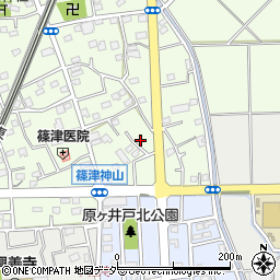 埼玉県白岡市篠津2031-3周辺の地図