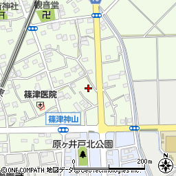 埼玉県白岡市篠津2015周辺の地図