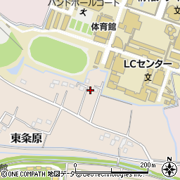 埼玉県南埼玉郡宮代町東粂原874周辺の地図