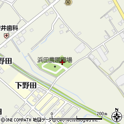 埼玉県白岡市上野田1181周辺の地図