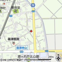 埼玉県白岡市篠津2051周辺の地図