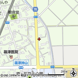 埼玉県白岡市篠津2053-1周辺の地図
