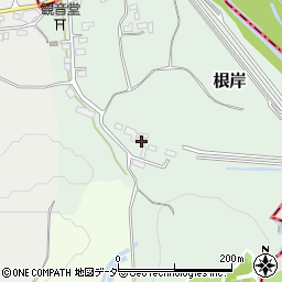 埼玉県比企郡嵐山町根岸3周辺の地図