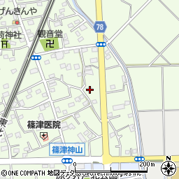 埼玉県白岡市篠津2013周辺の地図