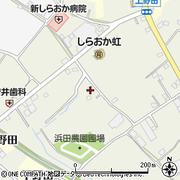 埼玉県白岡市上野田1234周辺の地図