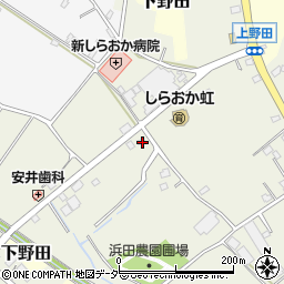 埼玉県白岡市上野田1255周辺の地図