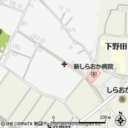 埼玉県白岡市高岩2094周辺の地図