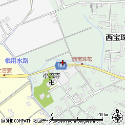 埼玉県春日部市西宝珠花317周辺の地図