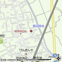 埼玉県白岡市篠津2117周辺の地図