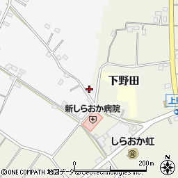 埼玉県白岡市高岩1899周辺の地図