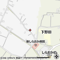 埼玉県白岡市高岩1902周辺の地図