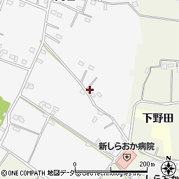 埼玉県白岡市高岩1911周辺の地図