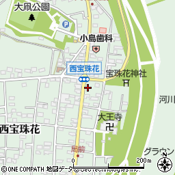 埼玉県春日部市西宝珠花58周辺の地図