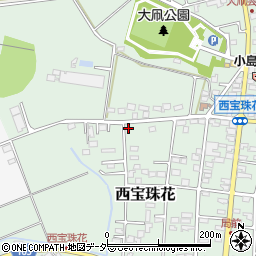 埼玉県春日部市西宝珠花487周辺の地図