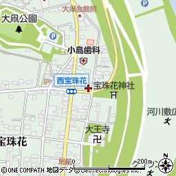 埼玉県春日部市西宝珠花11周辺の地図
