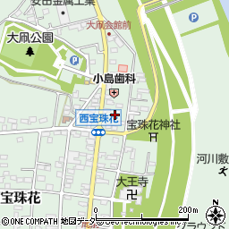 埼玉県春日部市西宝珠花13周辺の地図