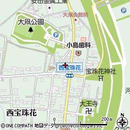 埼玉県春日部市西宝珠花28周辺の地図